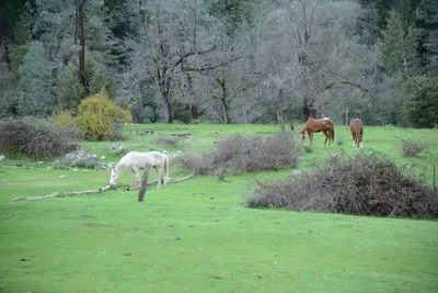 DSC_0939 (Large).JPG